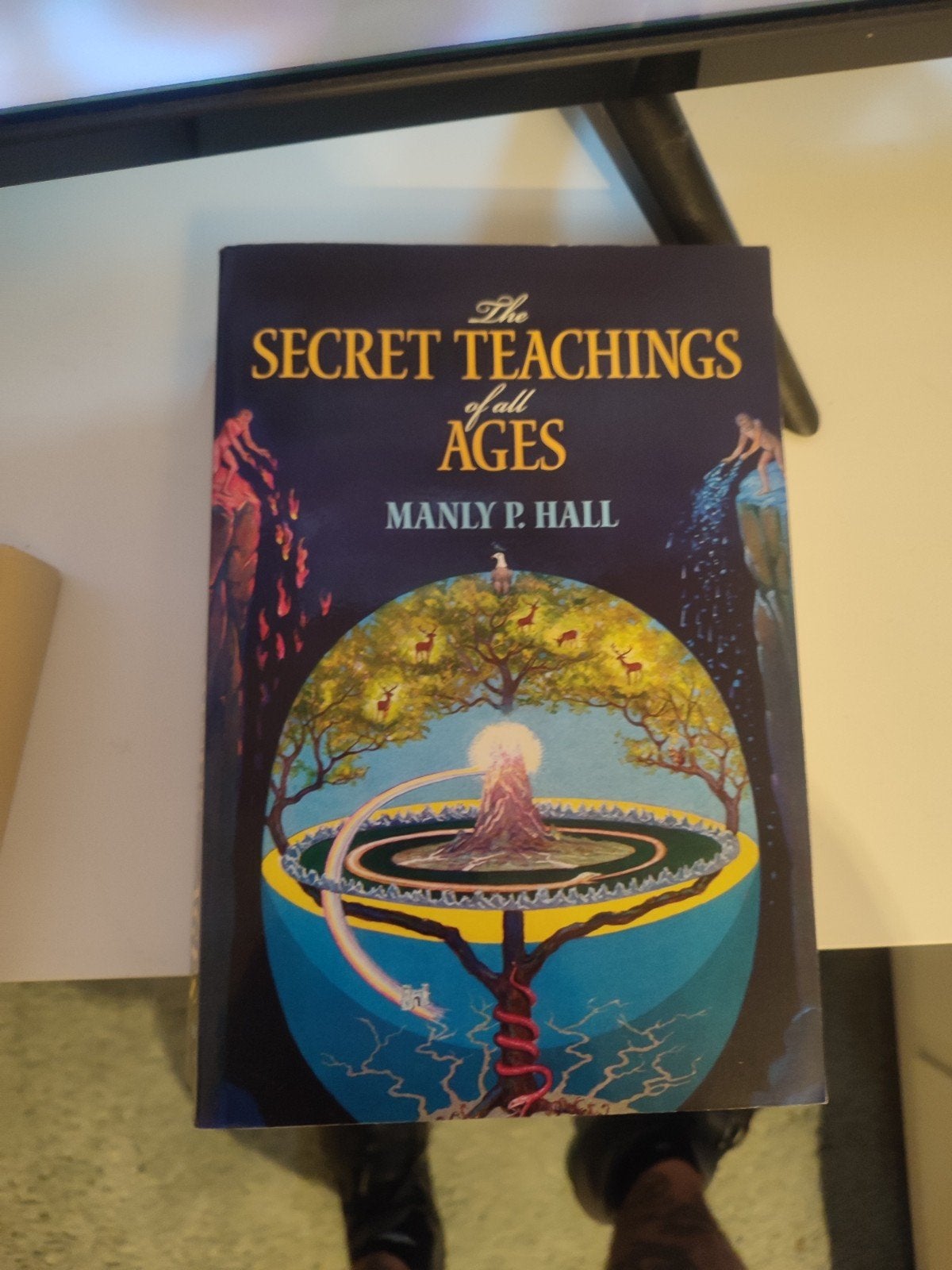 Occult boek manly p hall, Livres, Ésotérisme & Spiritualité, Enlèvement