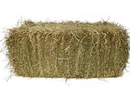 150 mooie hooipakken, Enlèvement