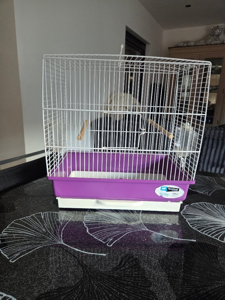 Cage à oiseau, Animaux & Accessoires, Enlèvement