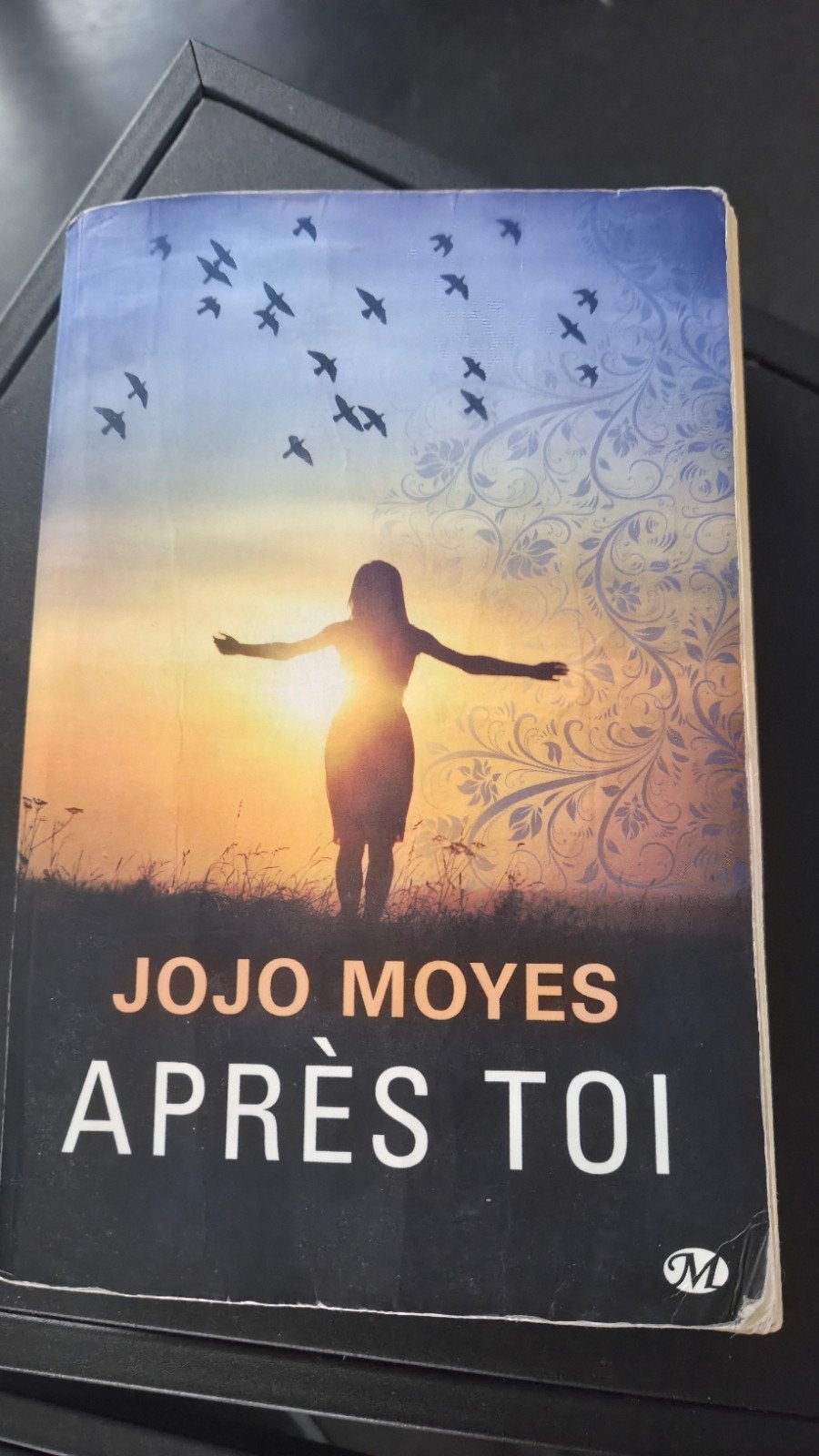 Après toi, broché, Enlèvement ou Envoi, Utilisé, Jojo mojes