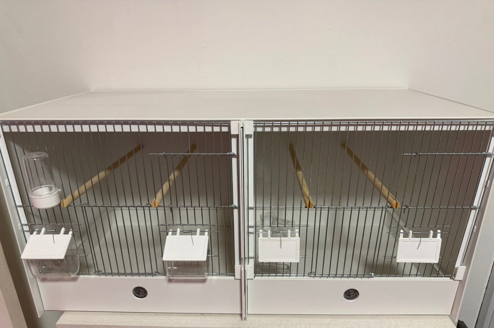 Kweekkooi, Dieren en Toebehoren, Ophalen, Nieuw