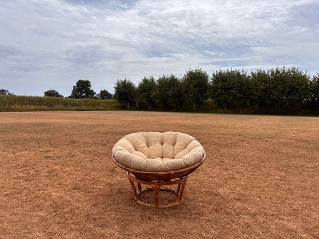 JYSK rotan fauteuil JORDRUP met kussen, 75 à 100 cm, Osier ou Rotin, Enlèvement, 75 à 100 cm