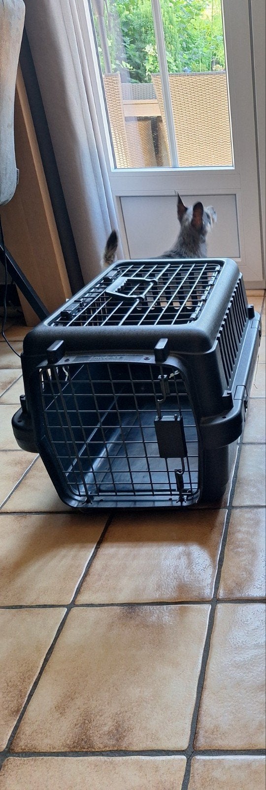 transport hond kat, Dieren en Toebehoren, Hondenbenches, Ophalen