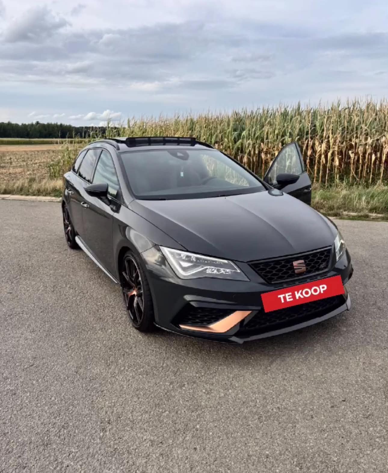 Prix de la Cupra Leon R 4drive négociable, Achat, Leon, Particulier, Gris