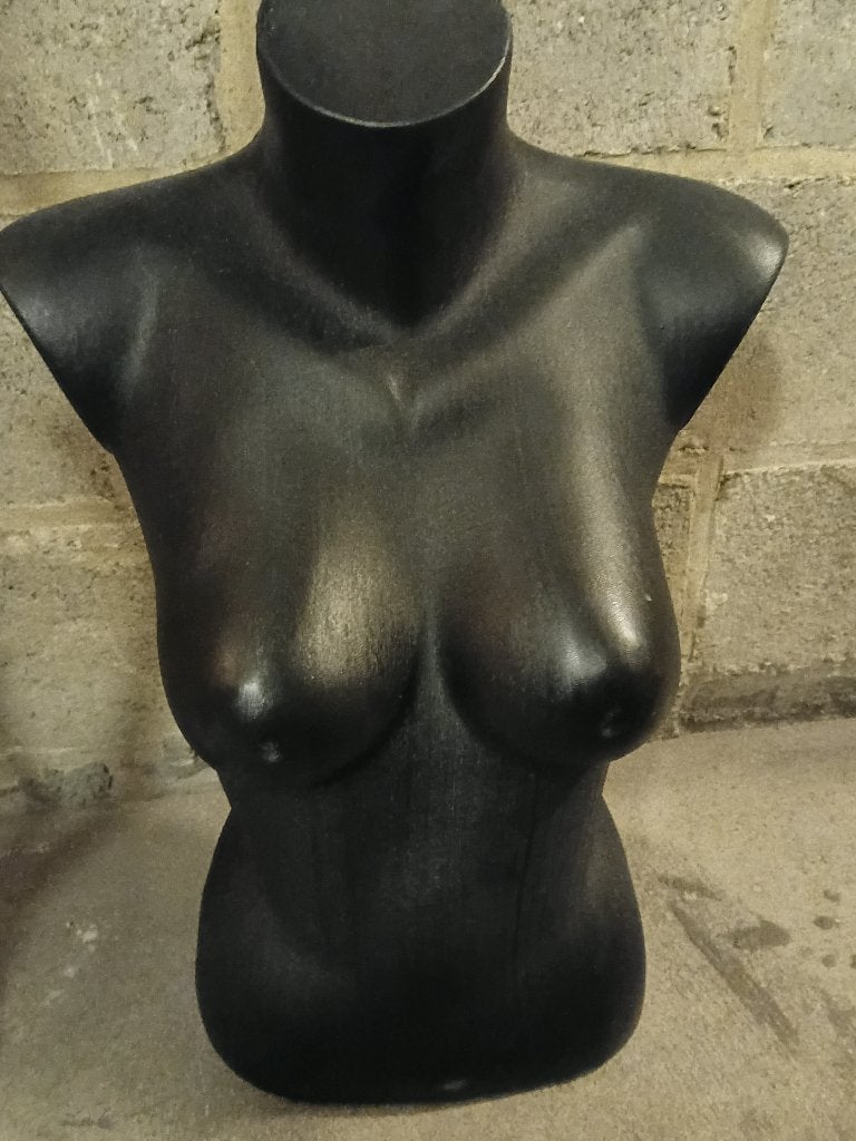 buste mannequin, Enlèvement, Utilisé, Personnage ou Figurines