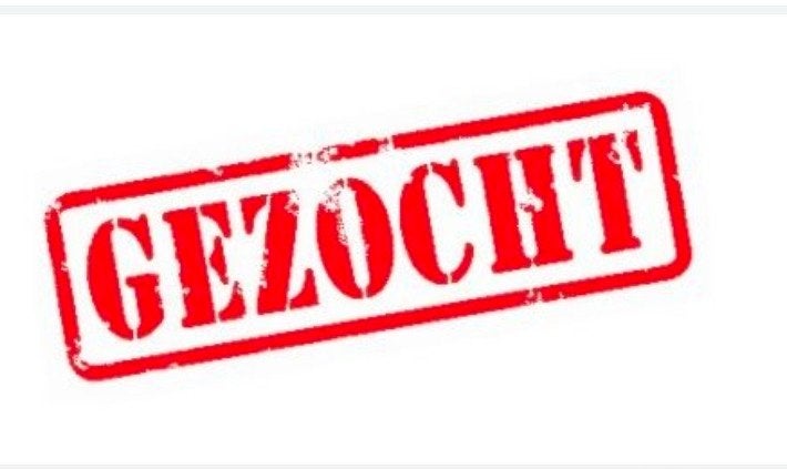 Gezocht recreatiepaard, Dieren en Toebehoren, Paarden, Merrie, Met stamboom, Zadelmak, 11 jaar of ouder