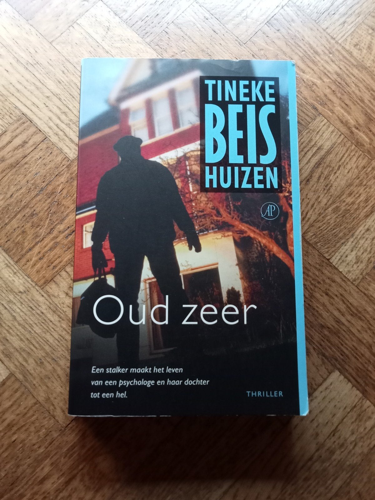 Tineke Beis Huizen: Oud zeer, Ophalen of Verzenden, Gelezen