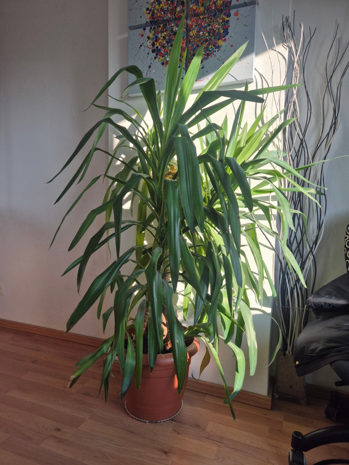 Les plantes sont en excellent état, Enlèvement