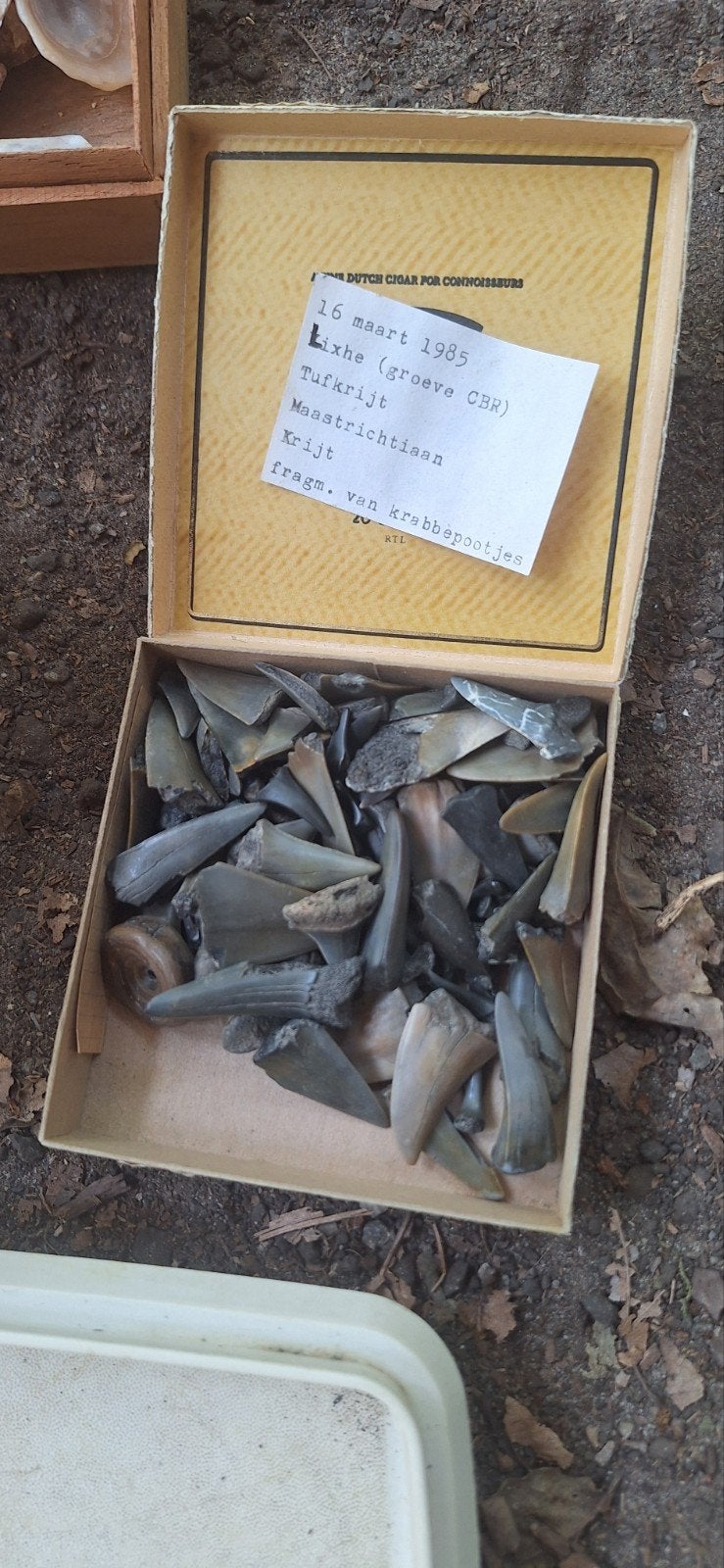 boîte pleine de dents de requin, etc., Enlèvement