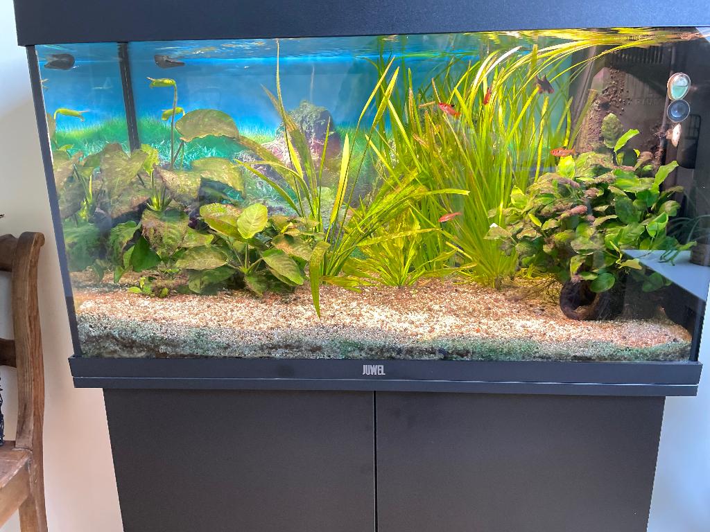 Aquarium Juwel 125, Divers, Enlèvement, Comme neuf