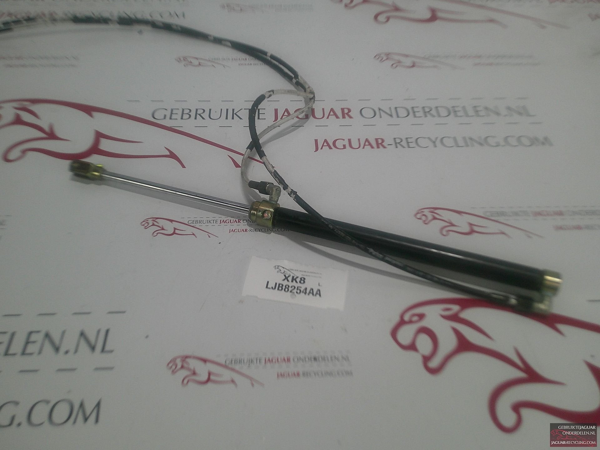 Cabrio dak cilinder LH Jaguar XK8 LJB8254AA, Gebruikt, -, Ophalen of Verzenden, Jaguar