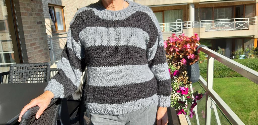 Pull fait main, Vêtements | Femmes, Enlèvement ou Envoi, Neuf, Taille 36 (S), Gris
