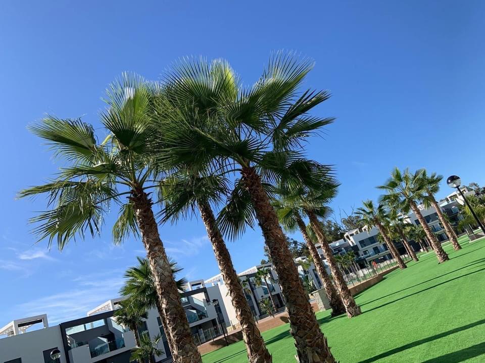 Te huur appartement Spanje, Propriétaire, Costa Blanca, Appartement, 2 chambres
