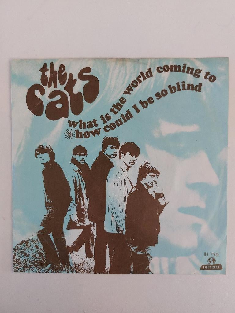 The Cats - What Is The World Coming To (1967), Cd's en Dvd's, Vinyl Singles, Ophalen of Verzenden, Pop