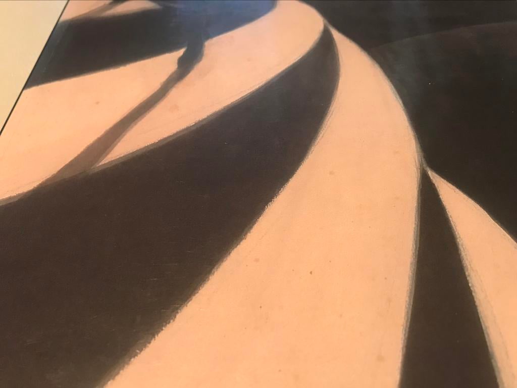Léon Spilliaert schilderije 120pag groot formaat, Boeken, Ophalen of Verzenden, Zo goed als nieuw, Schilder- en Tekenkunst