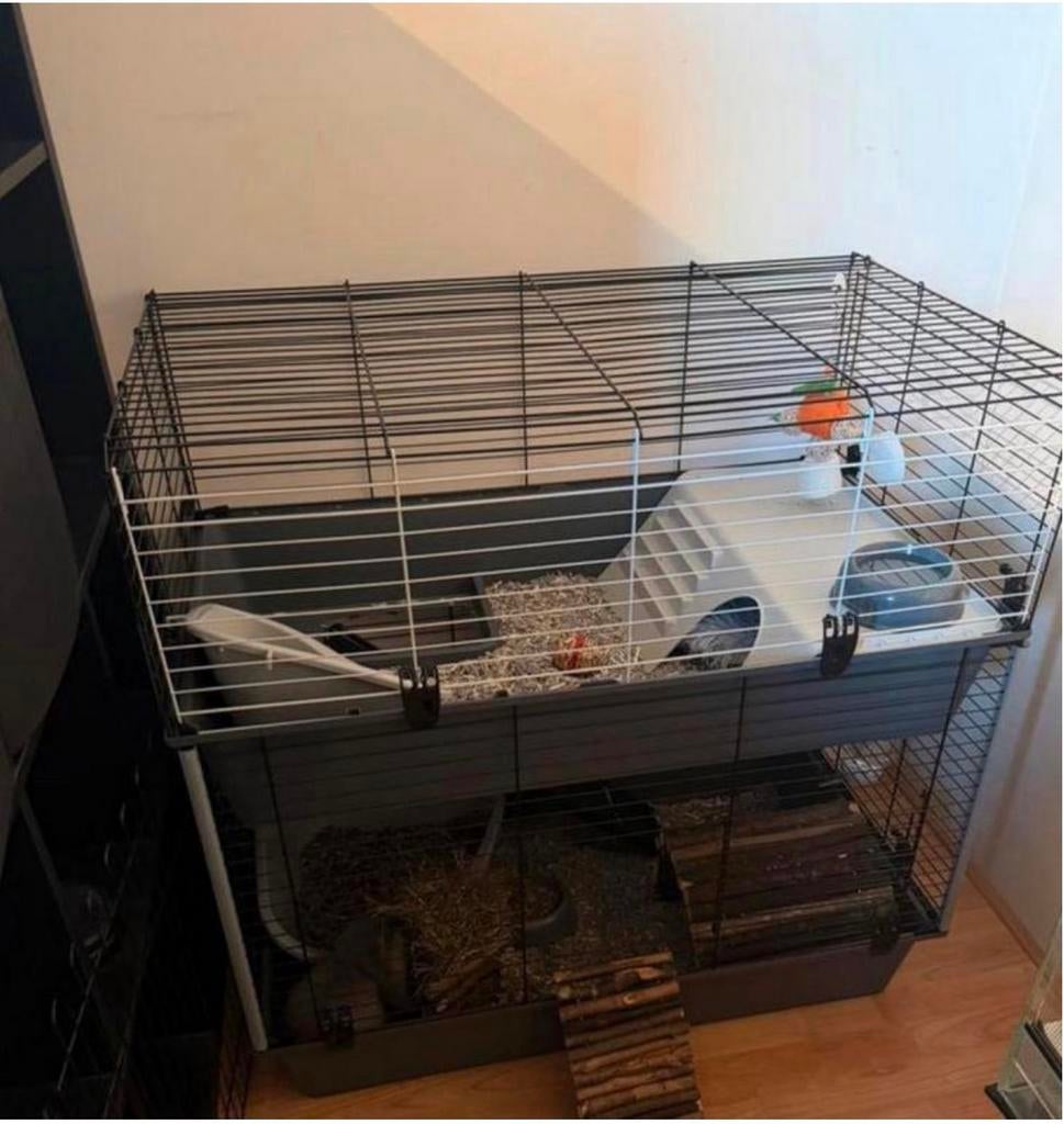 Cage pour rongeurs, Enlèvement, Comme neuf, Cage, Lapin