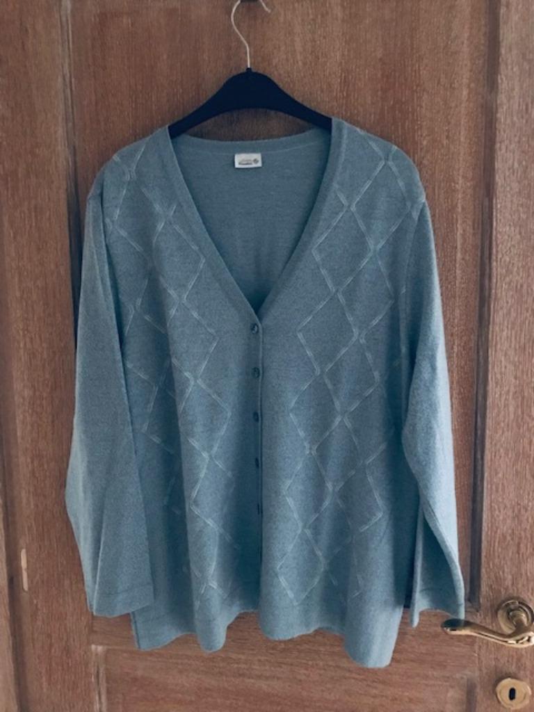 Nieuwe wollen pull - maat XL - oksel tot oksel 60cm (nr3121), Enlèvement ou Envoi, Neuf, Taille 46/48 (XL) ou plus grande, Bleu