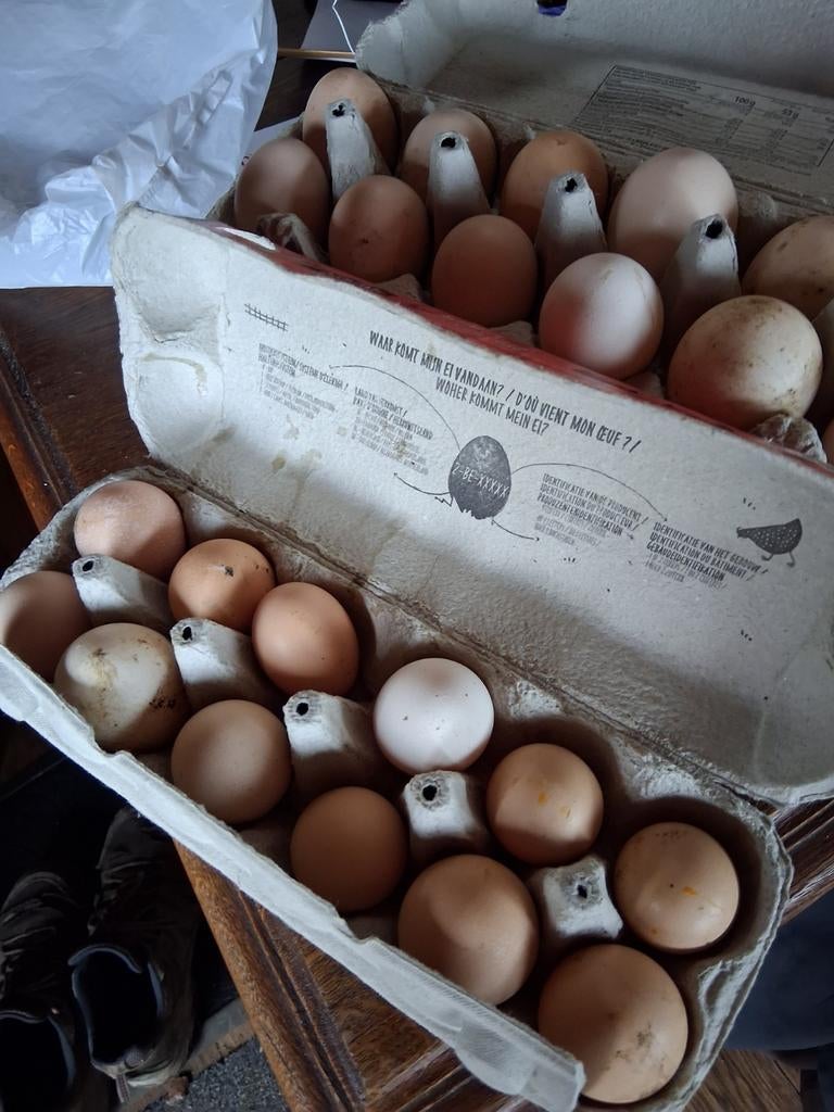 Broedeieren vleesras en legkip Poulle de Bresse., Dieren en Toebehoren, Pluimvee