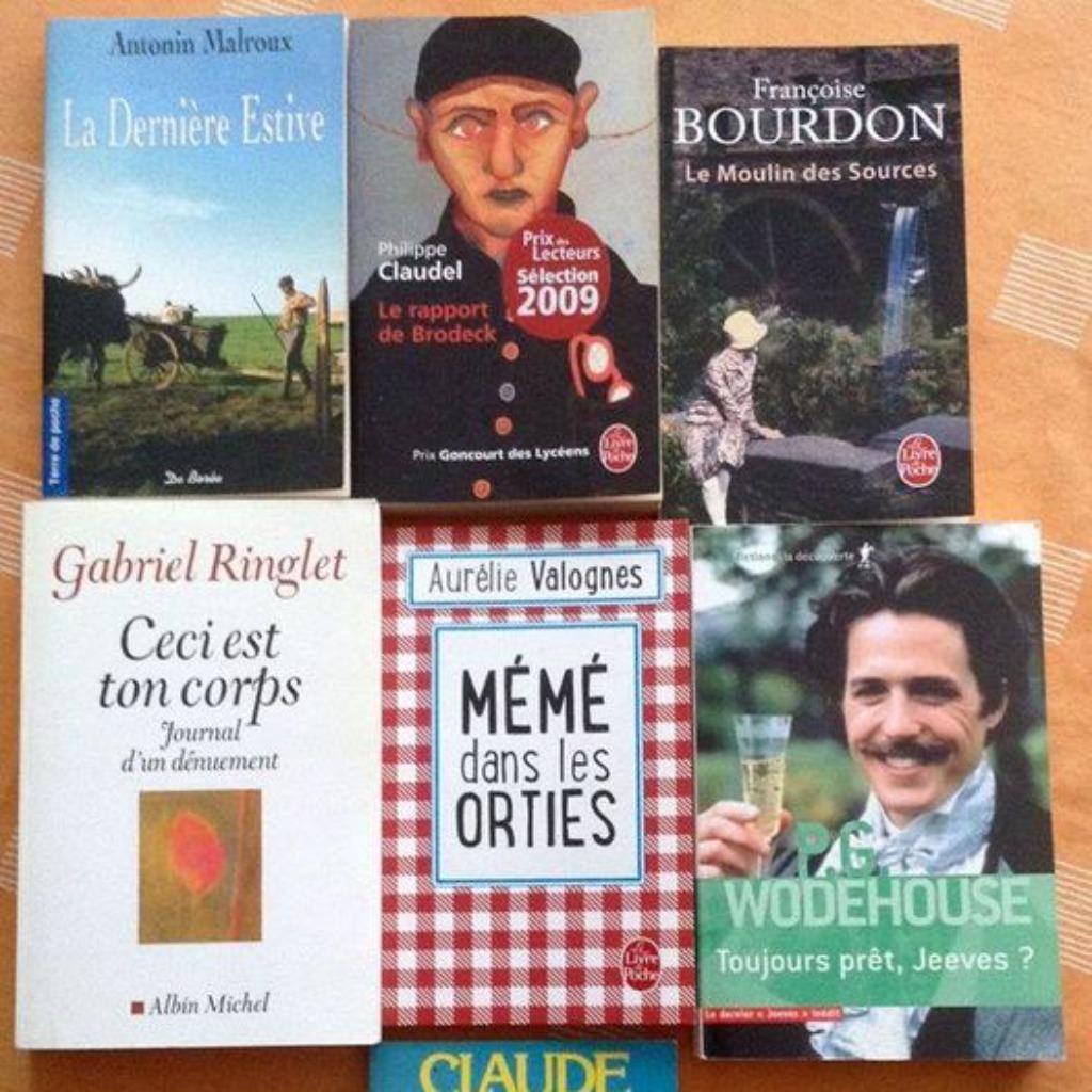 Livres de poche, Ophalen of Verzenden, Zo goed als nieuw