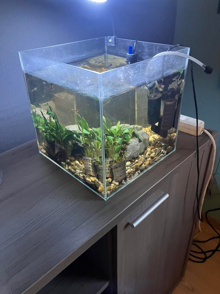 Aquarium  incl. pomp&verwarming, Ophalen, Zo goed als nieuw
