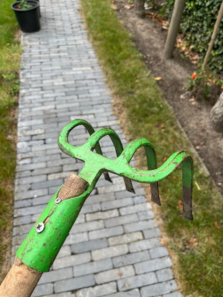 Quatre dents, Enlèvement, Comme neuf