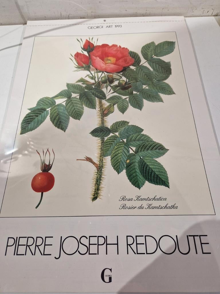 Pierre Joseph Redoute , de bloemenprins kalender 1993 nieuw, Antiquités & Art, Enlèvement ou Envoi