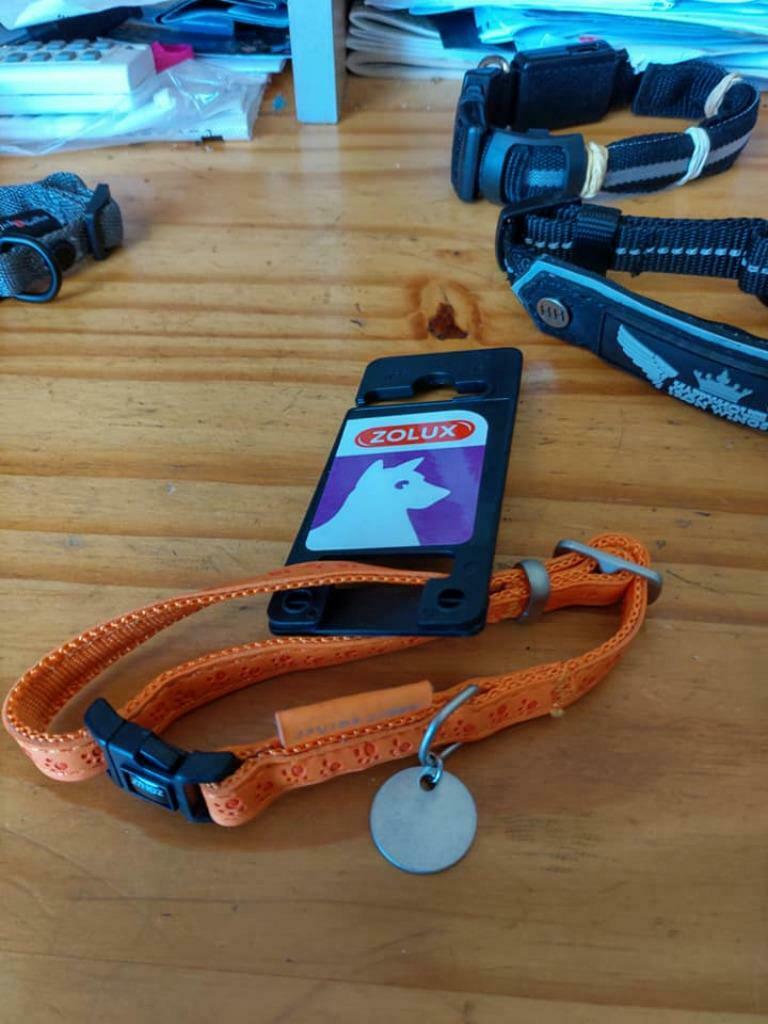 Collier chien marque macleather orange neuf 10mm, Enlèvement ou Envoi, Comme neuf