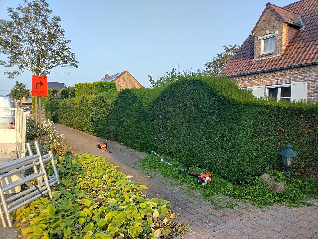Snoeien - Verticuteren - Maaien - Hakselen - Tuinonderhoud, Ophalen of Verzenden
