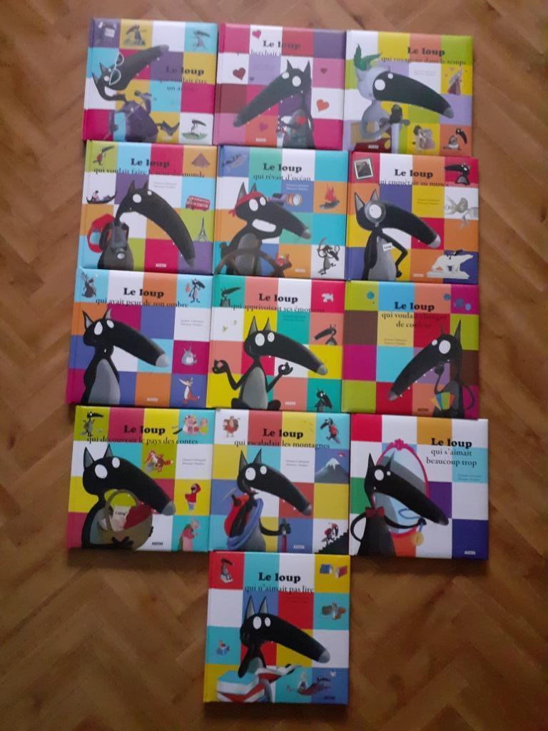 Livres du loup, Enlèvement, Comme neuf, Garçon ou Fille, Livre de lecture