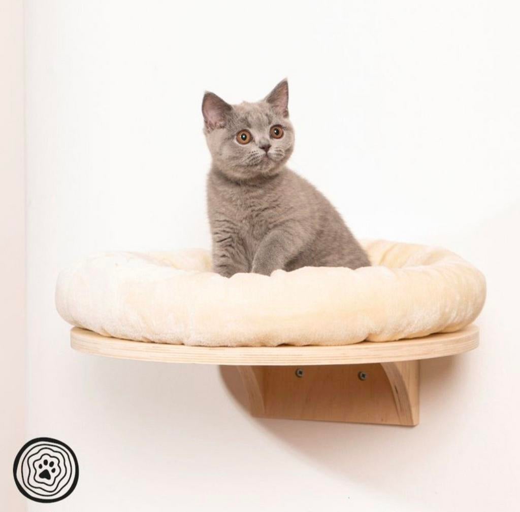 Mand of rond ligbed voor je kat, Enlèvement