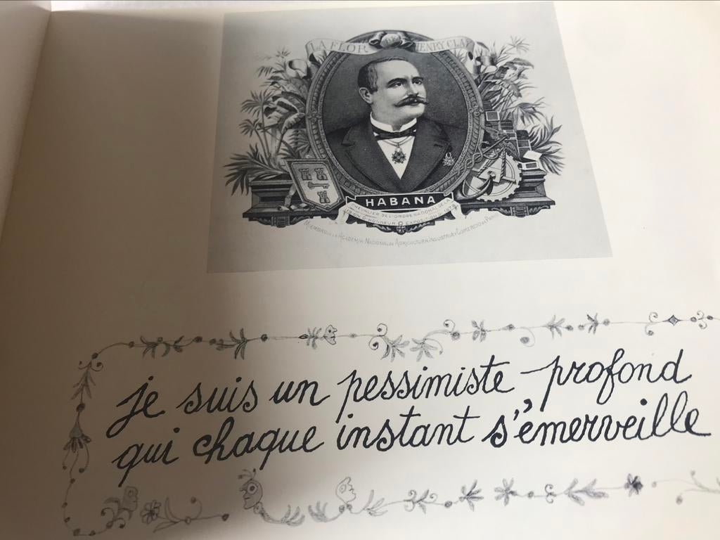 Peintures sur céramique de Pierre Caille, 60 pages, Enlèvement ou Envoi, Comme neuf, Sculpture