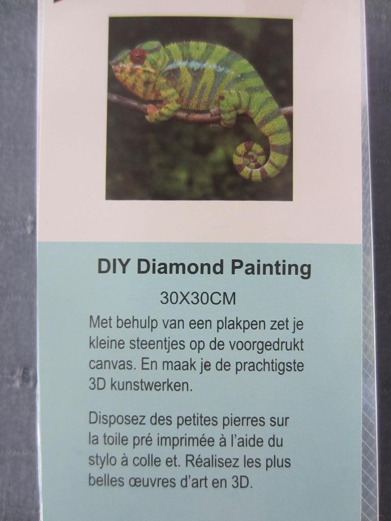 Diamond painting Kameleon, Ophalen of Verzenden, Nieuw