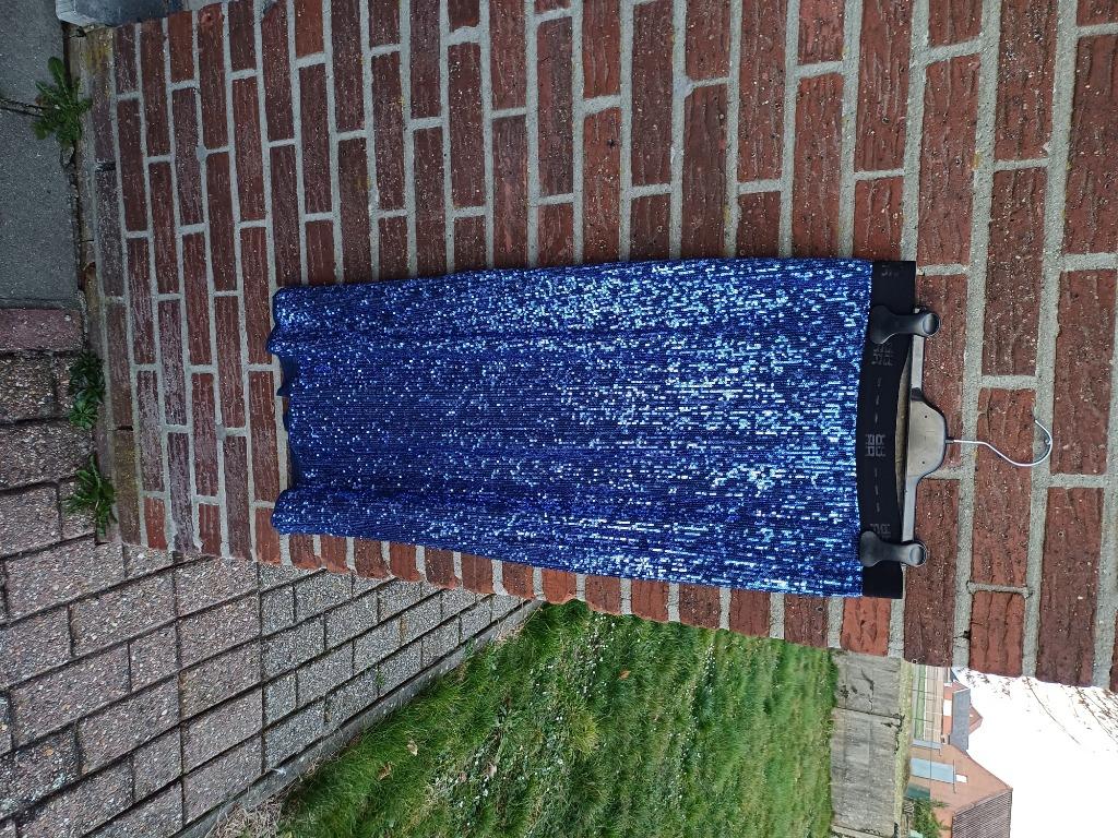 Dames rok Mt38, Blauw, Riani, Overige typen, Nieuw