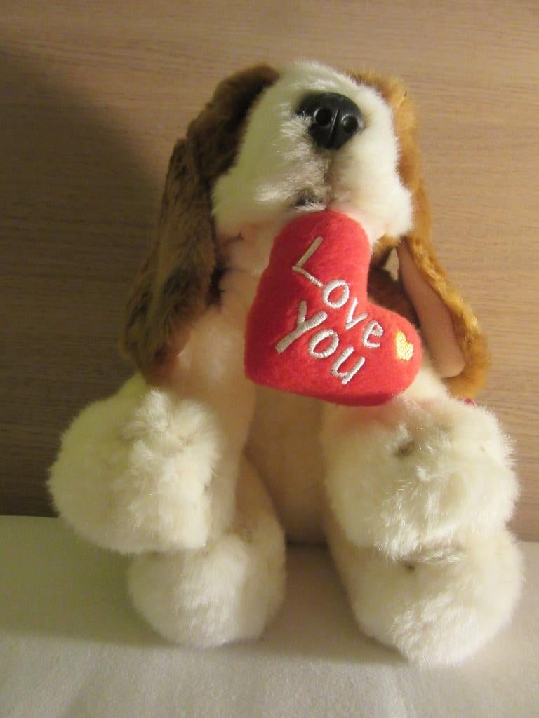 NIEUW - knuffel Hond Keel Toys, Ophalen of Verzenden, Nieuw, Hond