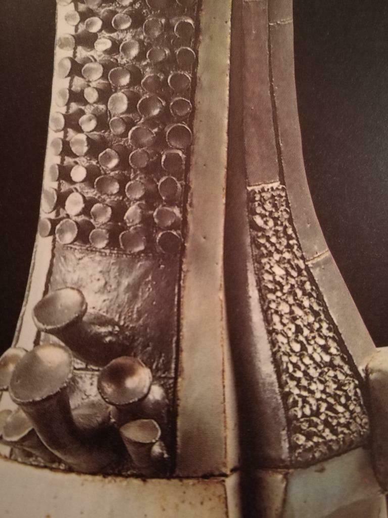 Keramiek in België 195pag Perignem Amphora, Ophalen of Verzenden, Nieuw, Beeldhouwkunst