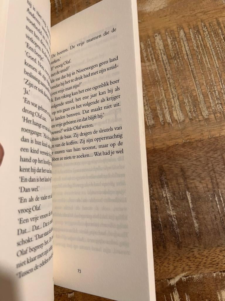 Vikings ontdekken Amerika - R.H. Schoemans, Boeken, Gelezen, R.H. Schoemans, Ophalen of Verzenden, Fictie