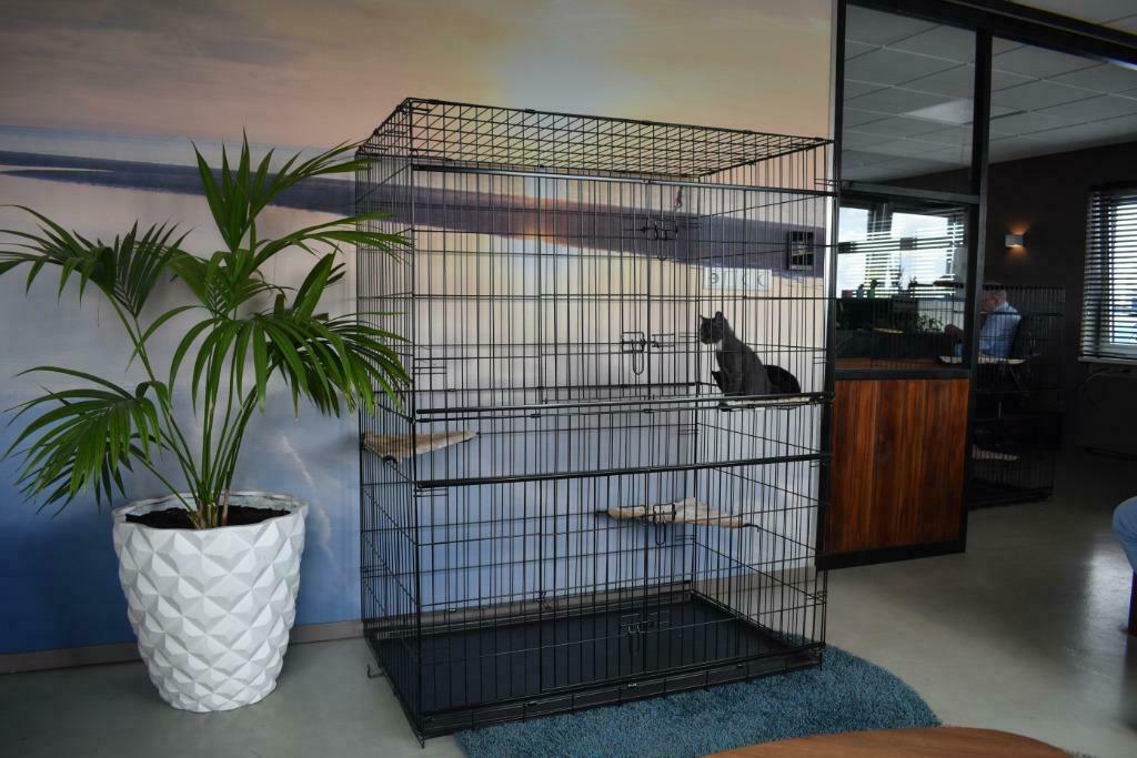Cage chat 131 cm cage chaton cage chat extérieur cage chat, Animaux & Accessoires, Envoi, Neuf
