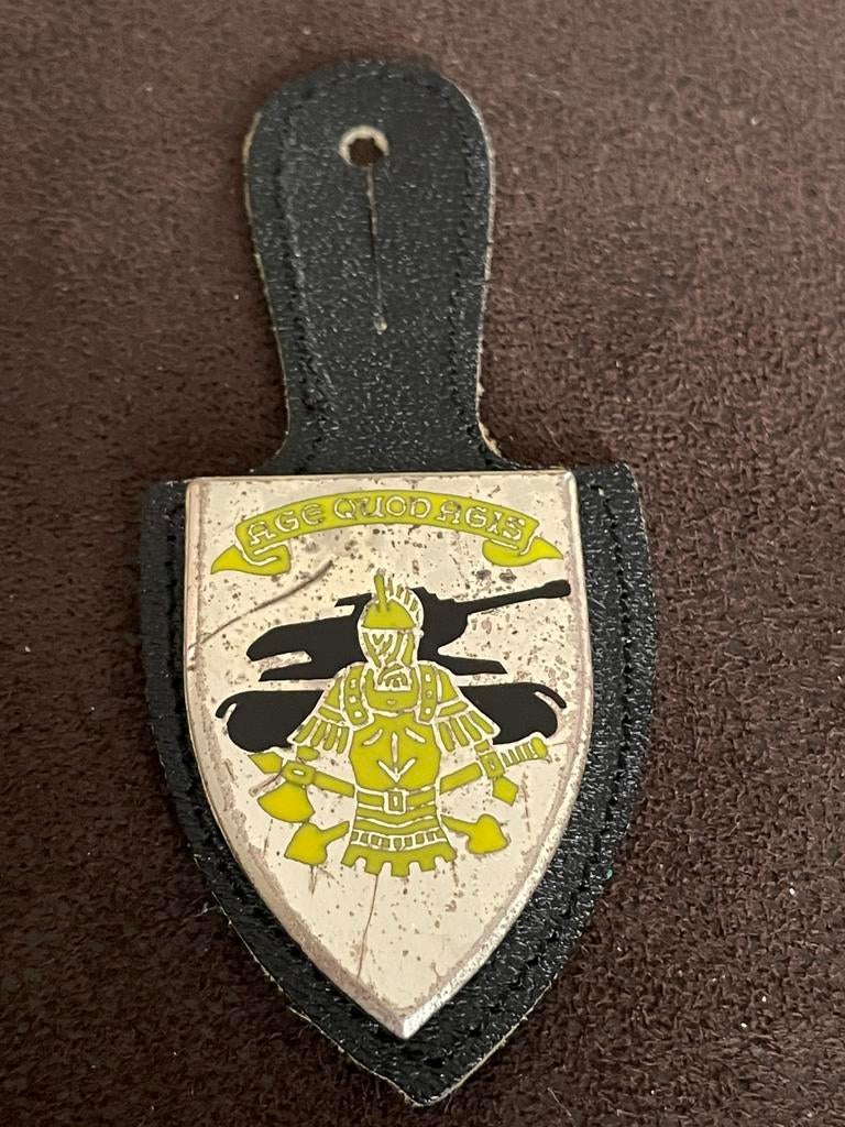 Cintre de poitrine 6 Battalion Genie, Collections, Envoi, Armée de terre, Emblème ou Badge