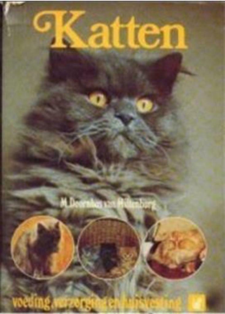 Katten, M.Doornbos van Miltenburg, Livres, Animaux & Animaux domestiques, Utilisé, Chats, Enlèvement ou Envoi