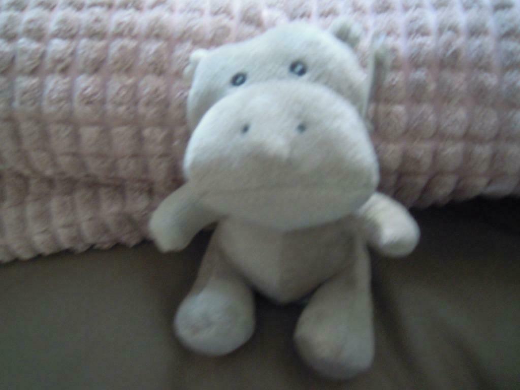 knuffel pairi daiza nijlpaard emilio(doos 104), Enlèvement ou Envoi, Neuf