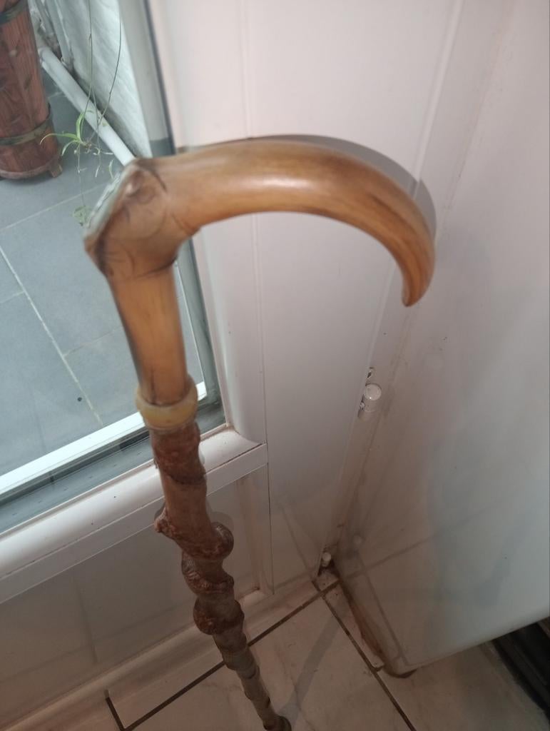 Canne corne torturer 88 cm