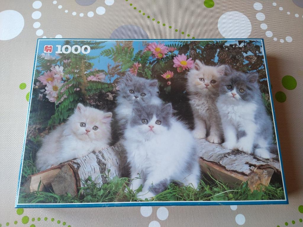 Puzzel met poesjes - Katten - 1000stuks - Sealed, Hobby en Vrije tijd, Ophalen