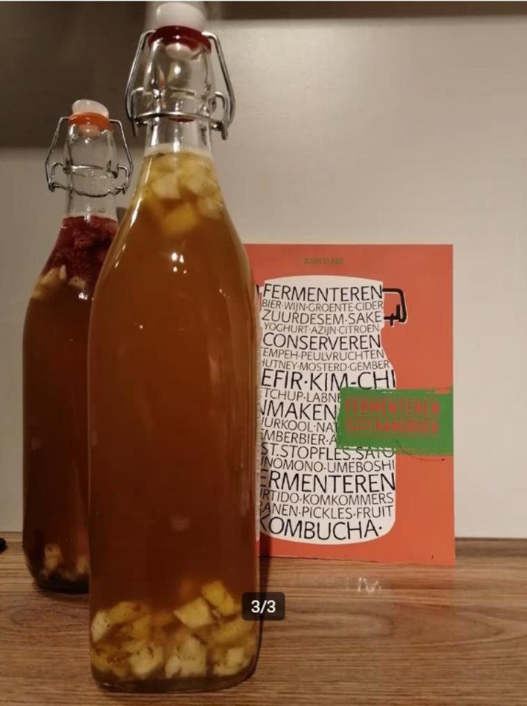 Recette SCOBY Kombucha + liquide de départ, Enlèvement ou Envoi