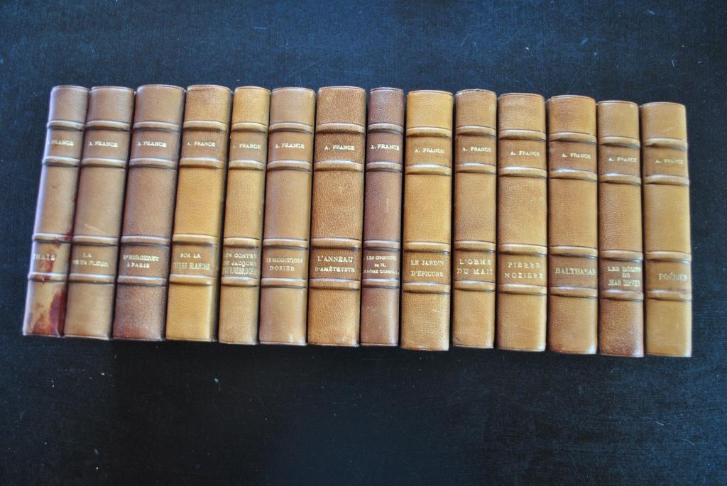 Anatole FRANCE lot de 14 reliures cuir Tirage limité Vélin, Enlèvement ou Envoi, Utilisé, Anatole FRANCE