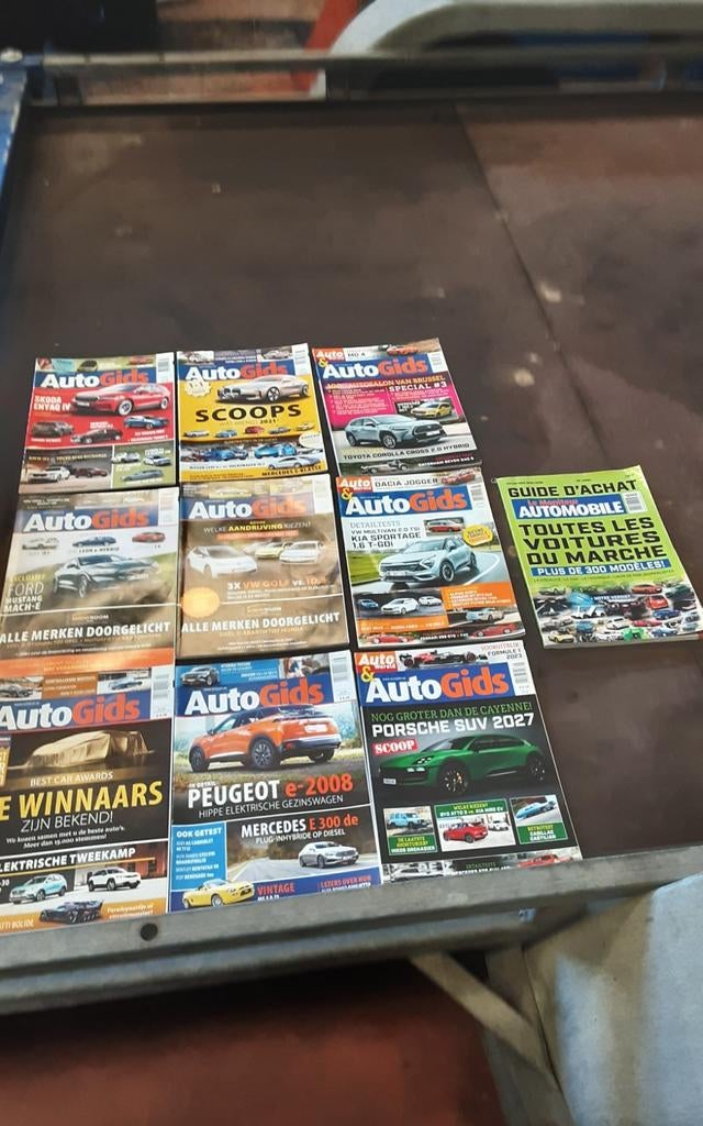 Autogids monteur de l'autobille, Ophalen of Verzenden, Zo goed als nieuw
