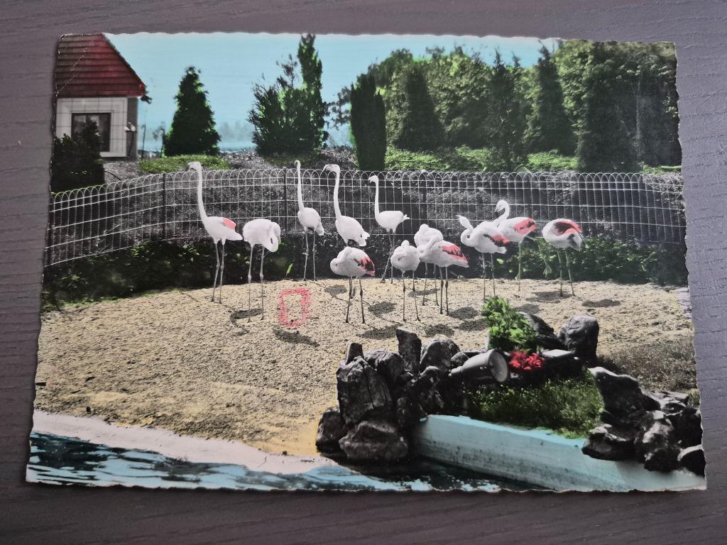 Meli Park postkaart "nieuw meli park 5", Verzamelen, Ophalen of Verzenden, Zo goed als nieuw