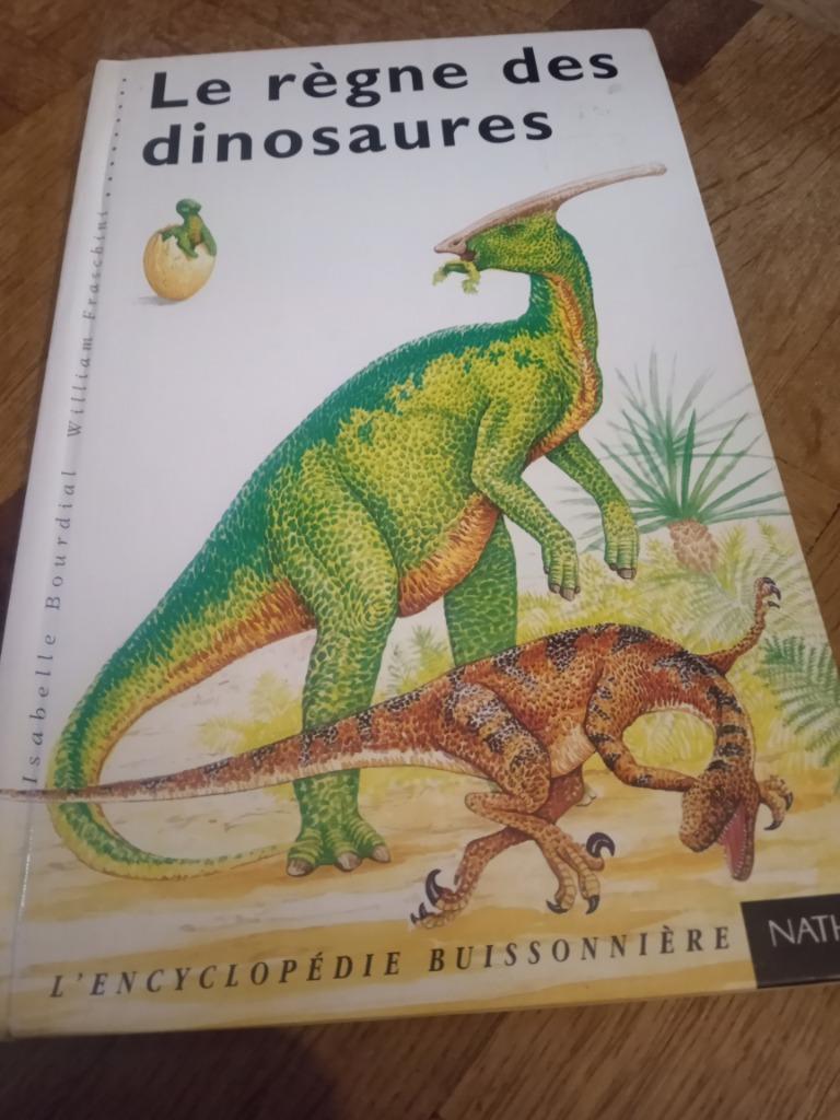 Livre le règne des dinosaures encyclopédie buissonnière, Enlèvement