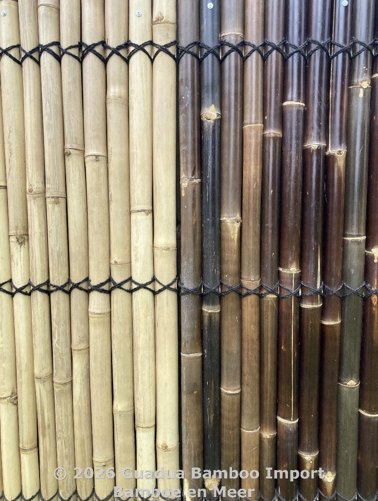 Paravent de jardin en bambou hémisphère foncé ou naturel, Neuf, Enlèvement ou Envoi, 100 à 150 cm, 150 à 200 cm