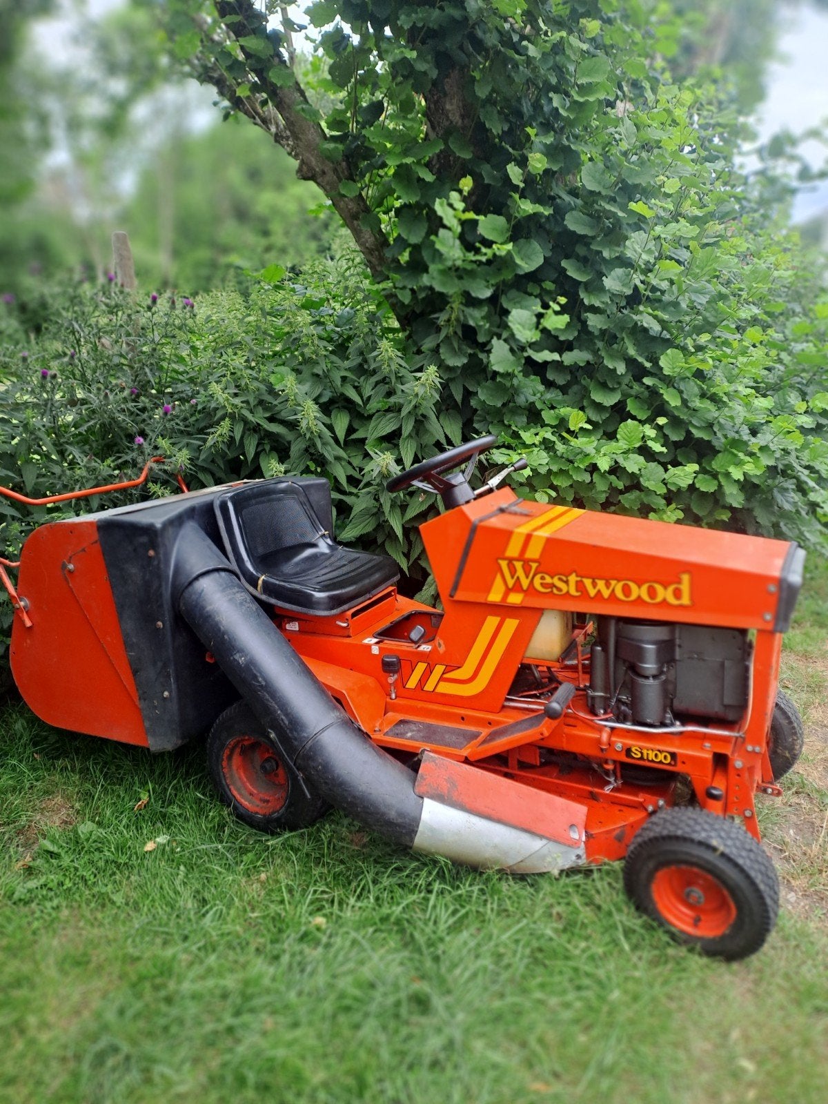 Tracteur tondeuse WESTWOOD S1100 – État Collection / Mécaniq, Enlèvement, Bac de ramassage