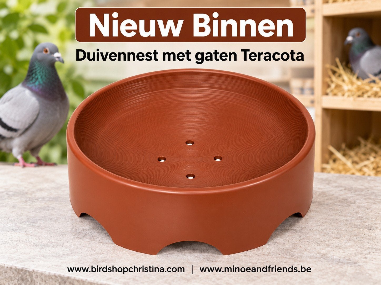 Nid de pigeon avec trous en teracota, Animaux & Accessoires, Enlèvement, Neuf, Accessoires pour cage
